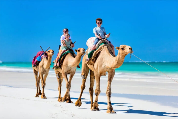 Asilah and Tangier Sightseeing Tour & Camel ride